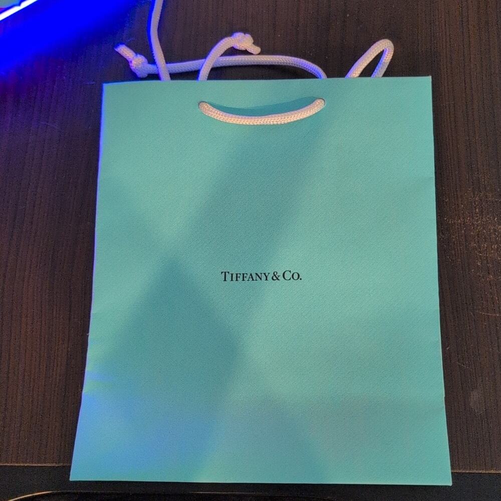 Tiffany & Co. Tiffany Blue Small Paper Gift Bag w/ White Rope Handles